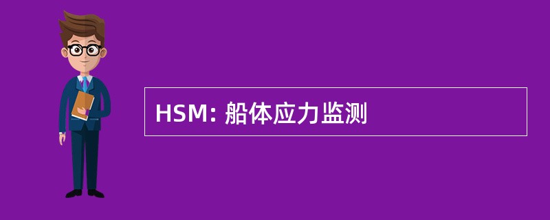 HSM: 船体应力监测