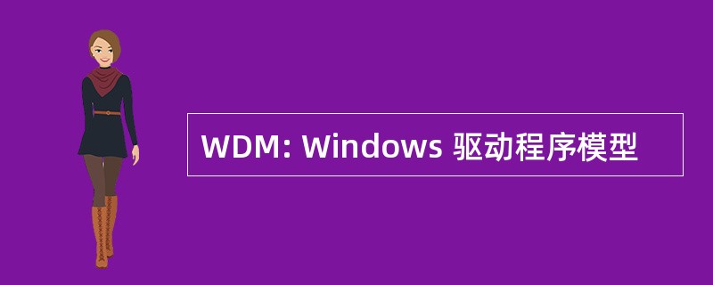 WDM: Windows 驱动程序模型