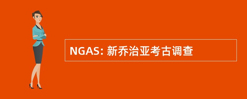 NGAS: 新乔治亚考古调查