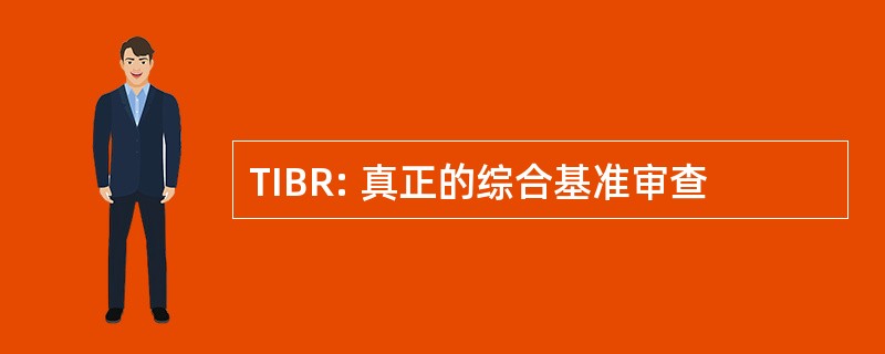 TIBR: 真正的综合基准审查