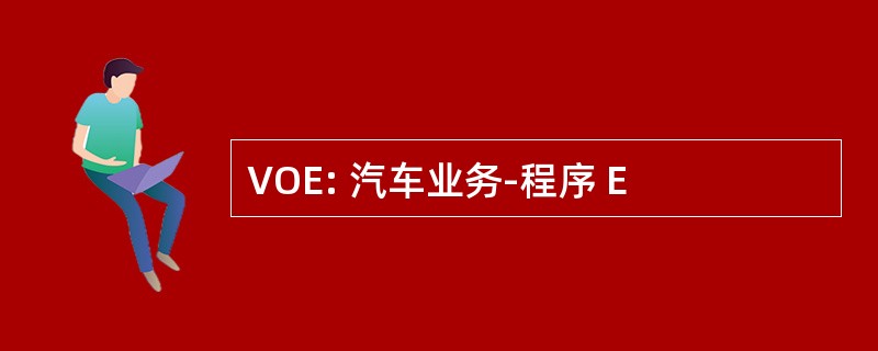 VOE: 汽车业务-程序 E