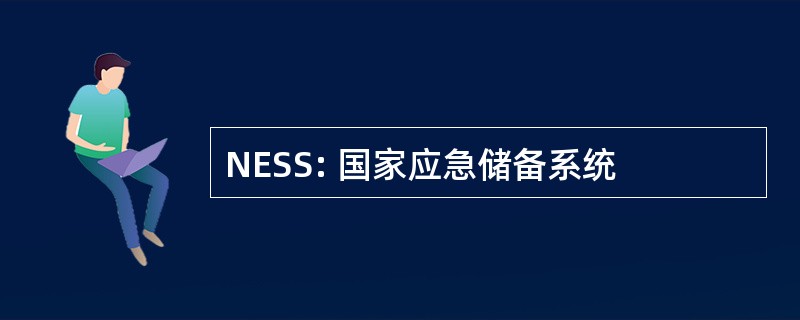 NESS: 国家应急储备系统