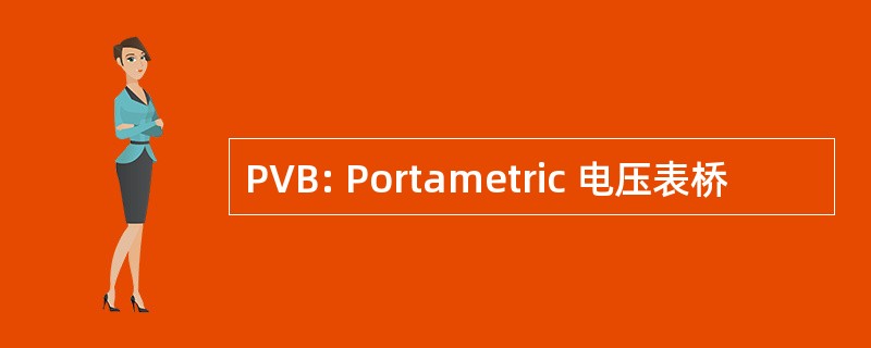 PVB: Portametric 电压表桥