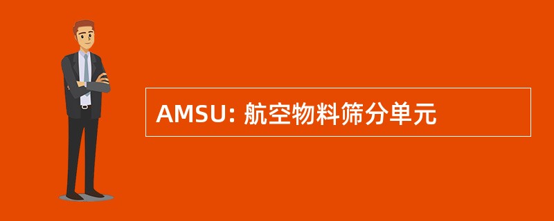 AMSU: 航空物料筛分单元