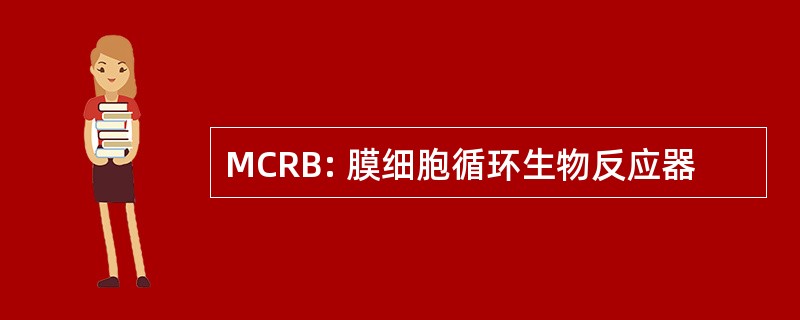 MCRB: 膜细胞循环生物反应器