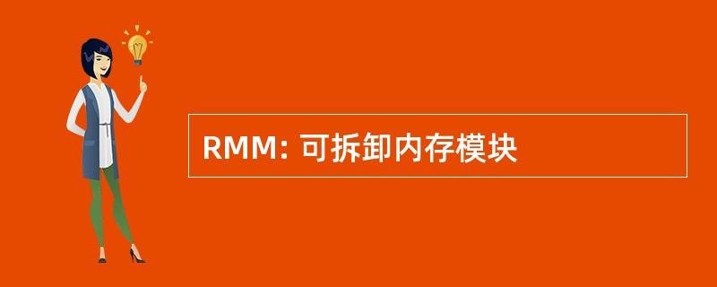 RMM: 可拆卸内存模块