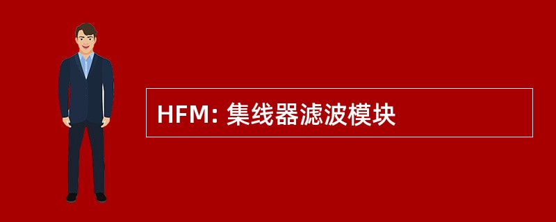 HFM: 集线器滤波模块