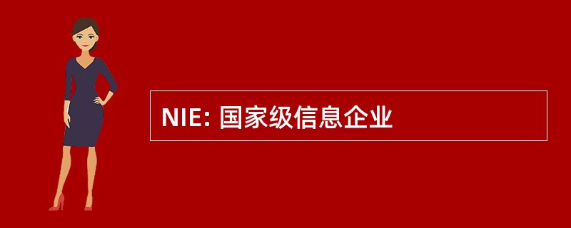 NIE: 国家级信息企业