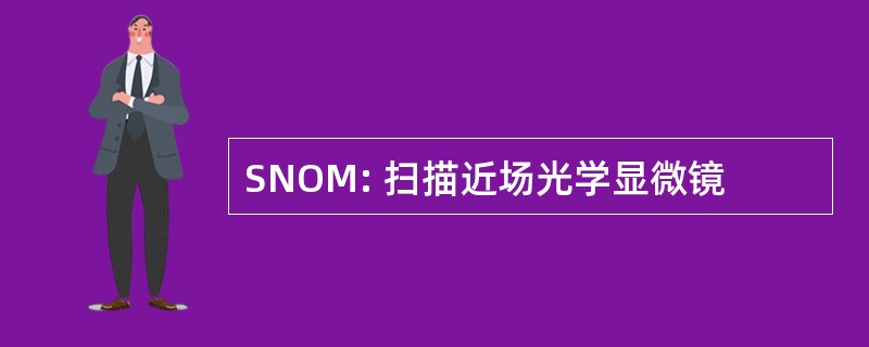 SNOM: 扫描近场光学显微镜