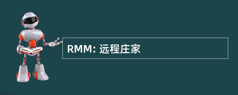 RMM: 远程庄家