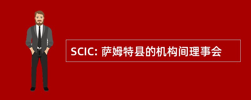 SCIC: 萨姆特县的机构间理事会