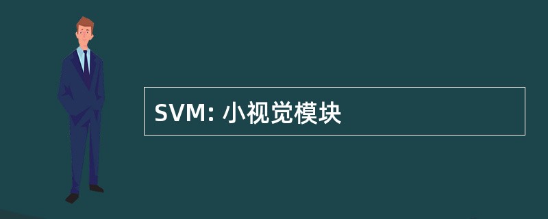 SVM: 小视觉模块