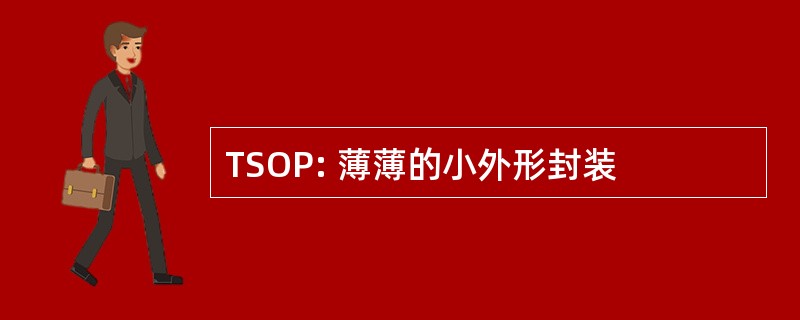 TSOP: 薄薄的小外形封装