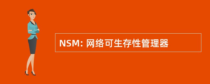 NSM: 网络可生存性管理器