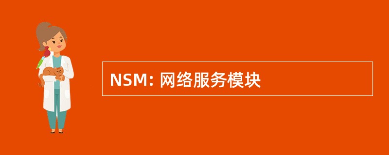 NSM: 网络服务模块