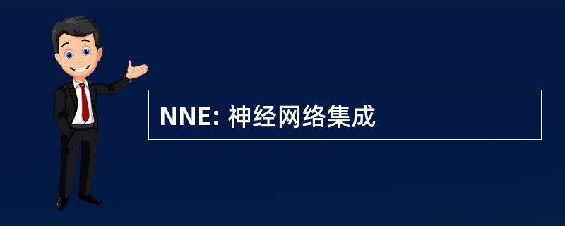 NNE: 神经网络集成