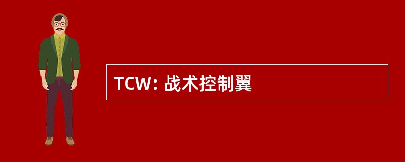 TCW: 战术控制翼