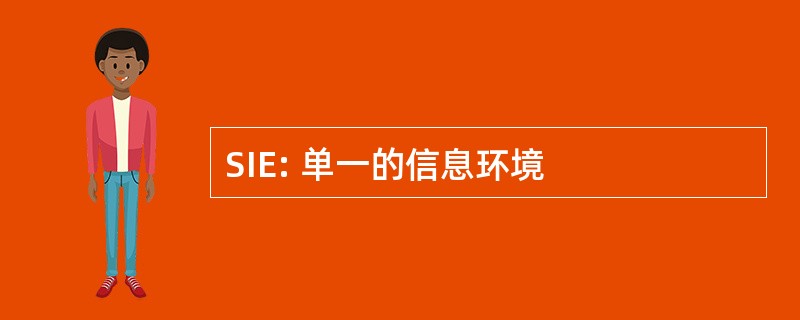 SIE: 单一的信息环境