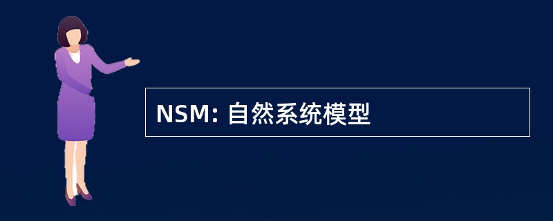 NSM: 自然系统模型