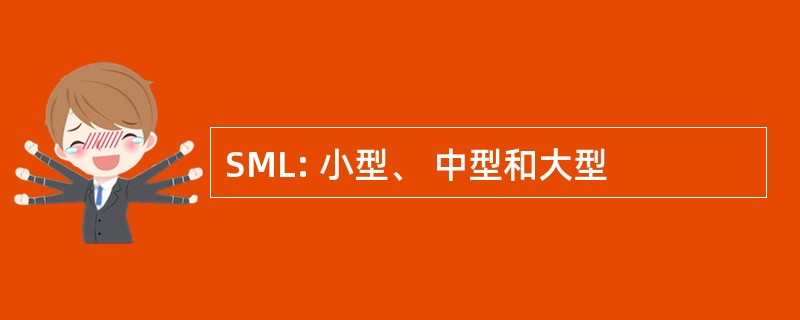 SML: 小型、 中型和大型