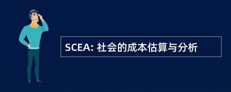 SCEA: 社会的成本估算与分析