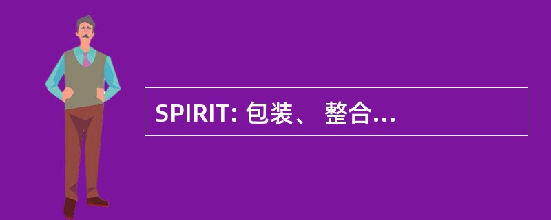 SPIRIT: 包装、 整合和重新使用 IP 内工具流动结构