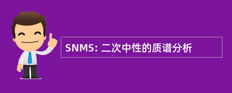 SNMS: 二次中性的质谱分析