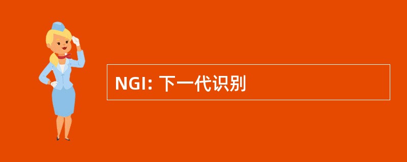 NGI: 下一代识别