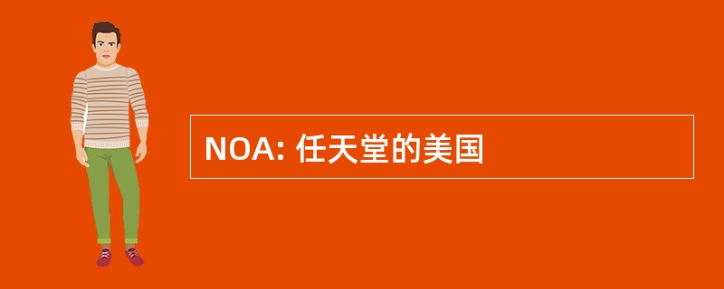 NOA: 任天堂的美国