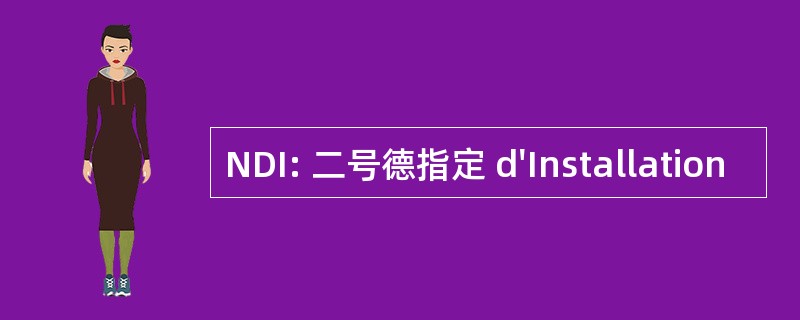 NDI: 二号德指定 d&#039;Installation