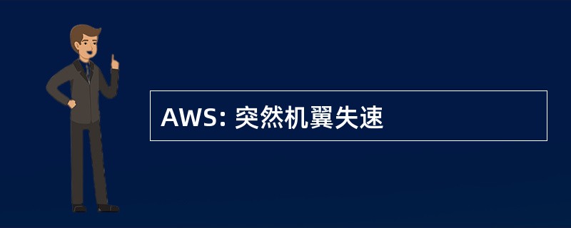 AWS: 突然机翼失速