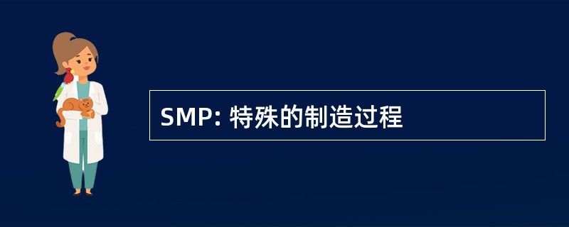 SMP: 特殊的制造过程