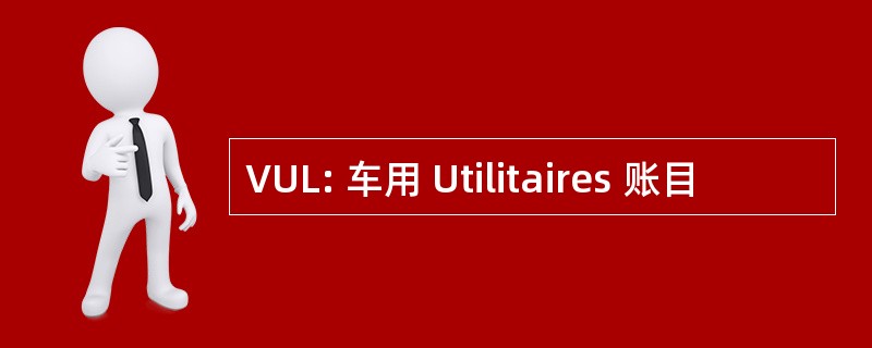 VUL: 车用 Utilitaires 账目