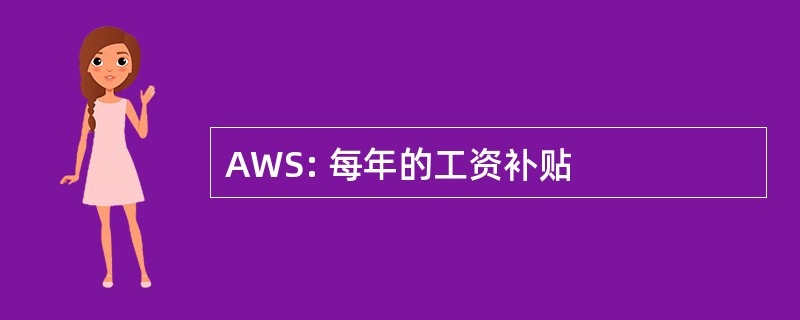 AWS: 每年的工资补贴