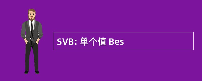 SVB: 单个值 Bes