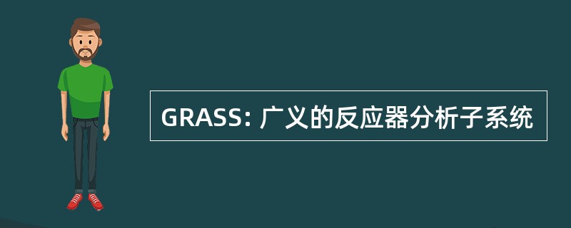 GRASS: 广义的反应器分析子系统