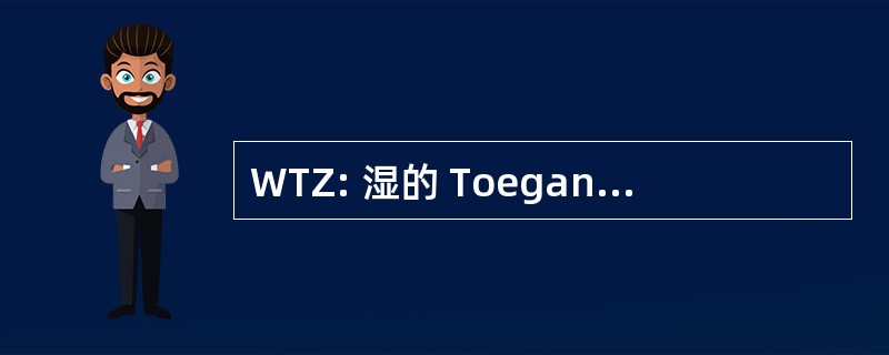 WTZ: 湿的 Toegang Ziektekostenverzekeringen