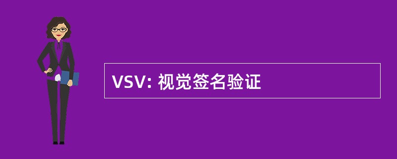 VSV: 视觉签名验证