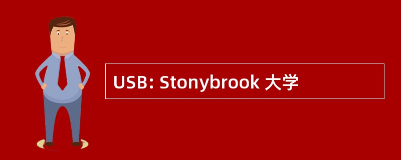 USB: Stonybrook 大学