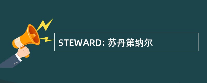 STEWARD: 苏丹第纳尔