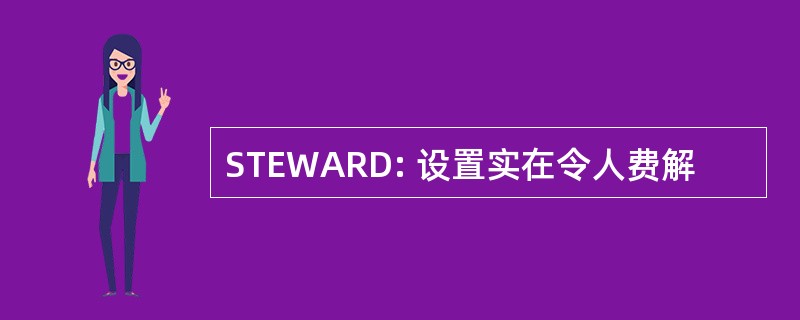 STEWARD: 设置实在令人费解