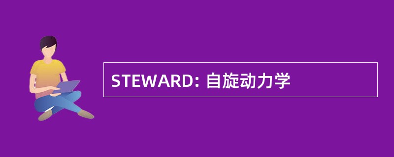 STEWARD: 自旋动力学