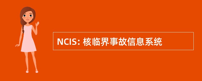 NCIS: 核临界事故信息系统