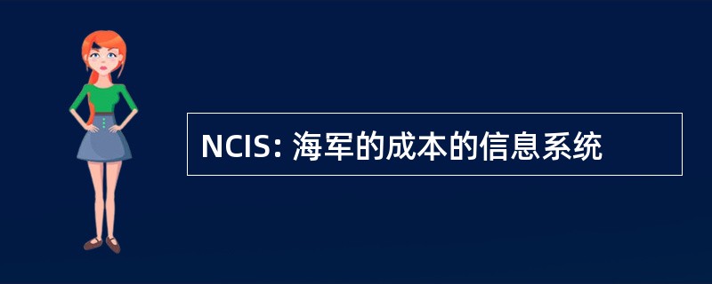 NCIS: 海军的成本的信息系统