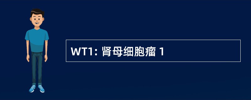 WT1: 肾母细胞瘤 1