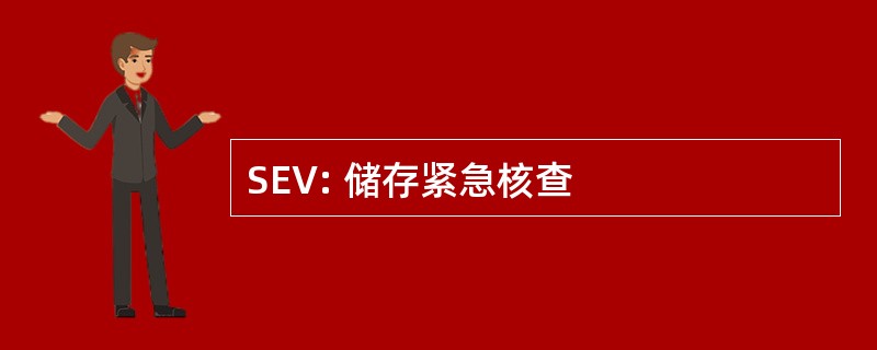 SEV: 储存紧急核查