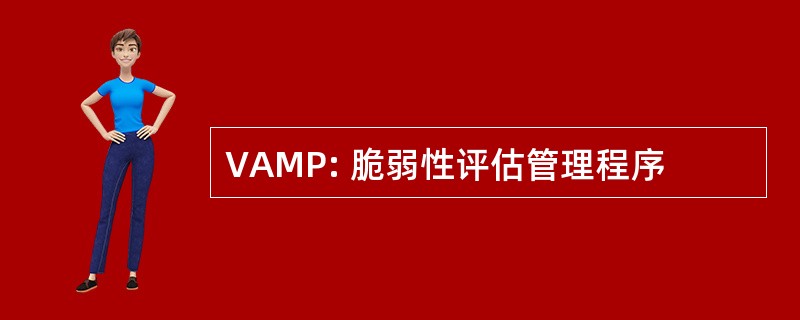 VAMP: 脆弱性评估管理程序