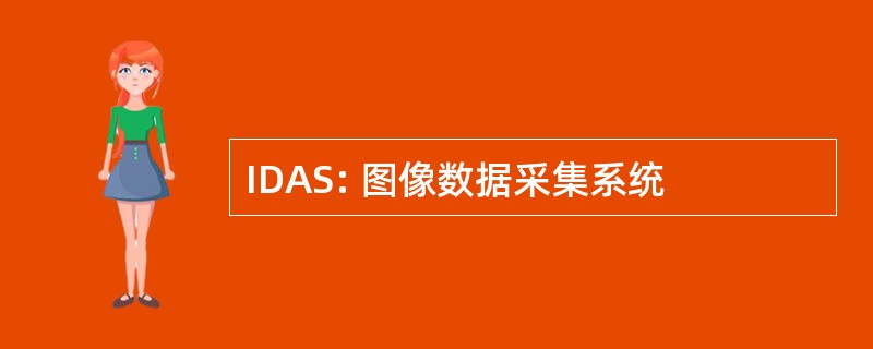 IDAS: 图像数据采集系统