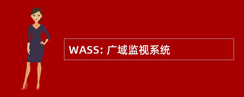 WASS: 广域监视系统