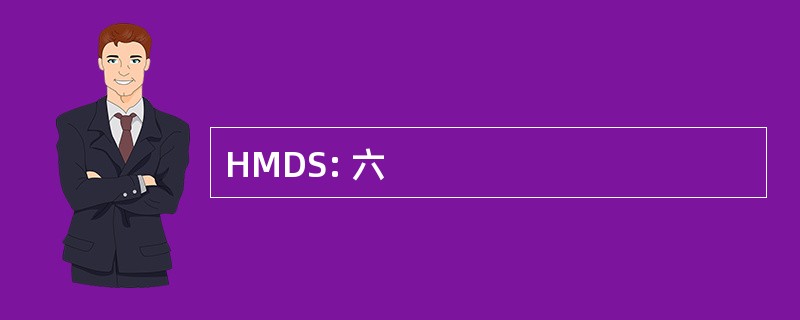 HMDS: 六